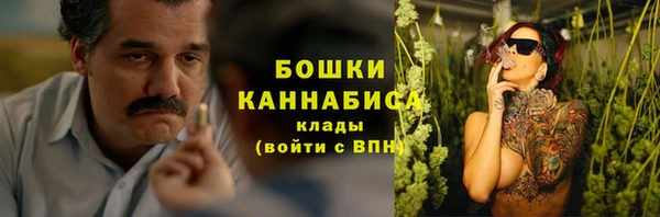 прущие грибы Вуктыл